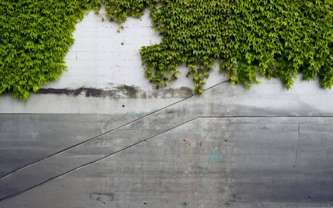 Why Use Green Concrete for Your Construction Project?