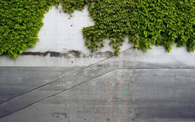 Why Use Green Concrete for Your Construction Project?